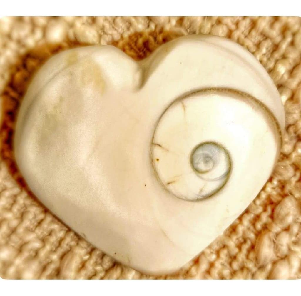 Objet nacré en forme de cœur